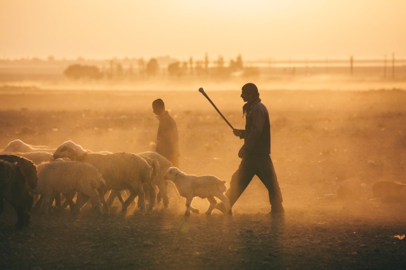 Nomads tend their flocks in Fars Province, Iran