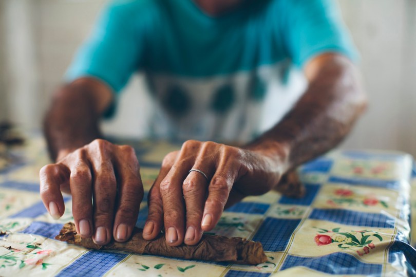Tobacco farmer rolling a cigar in Viñales, Cuba