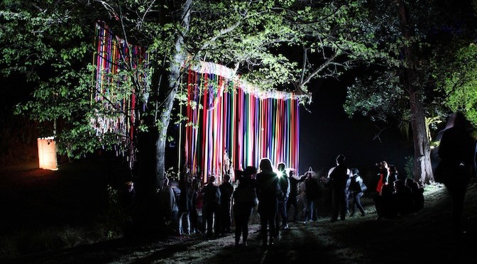 Q&A | Adelle Rodda on urban biodiversity, & making art in the dark