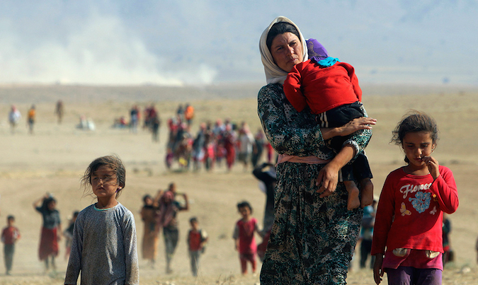 Shalaw Mohammed, Hawija refugees, Islamic State, Impolitikal