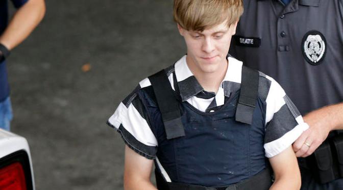 David Anderson, Sarah Illingworth, gun control