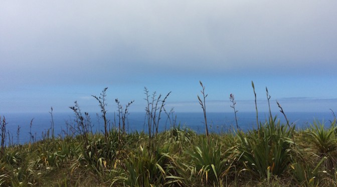 Angela-Barnett-Fucking-Awesome-Bulimics-bulimia-eating-disorders-anorexia