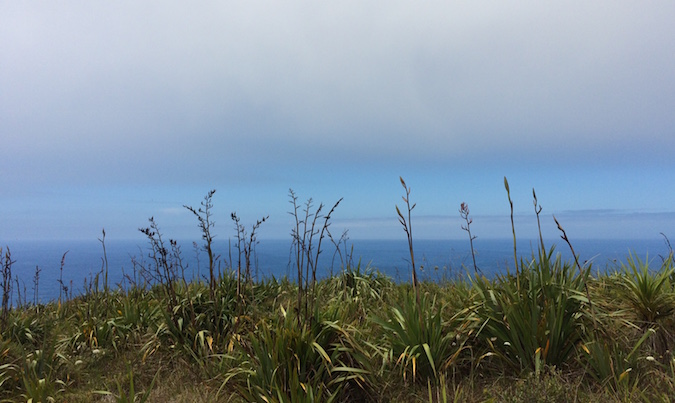 Angela-Barnett-Fucking-Awesome-Bulimics-bulimia-eating-disorders-anorexia