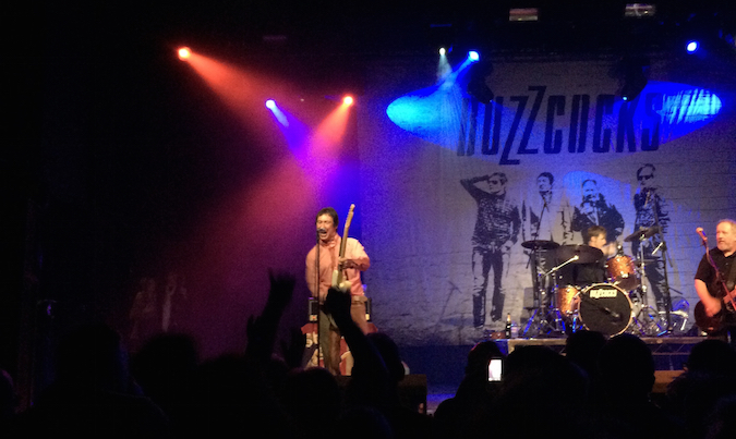 Steve Diggle, Buzzcocks, for Impolitikal