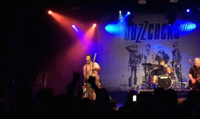 Steve Diggle, Buzzcocks, for Impolitikal